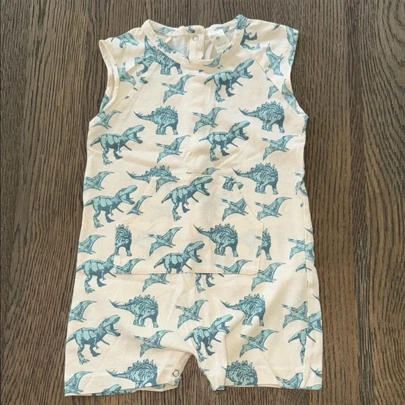 Dinosaur Print Sleeveless Romper - Picture 1 of 4